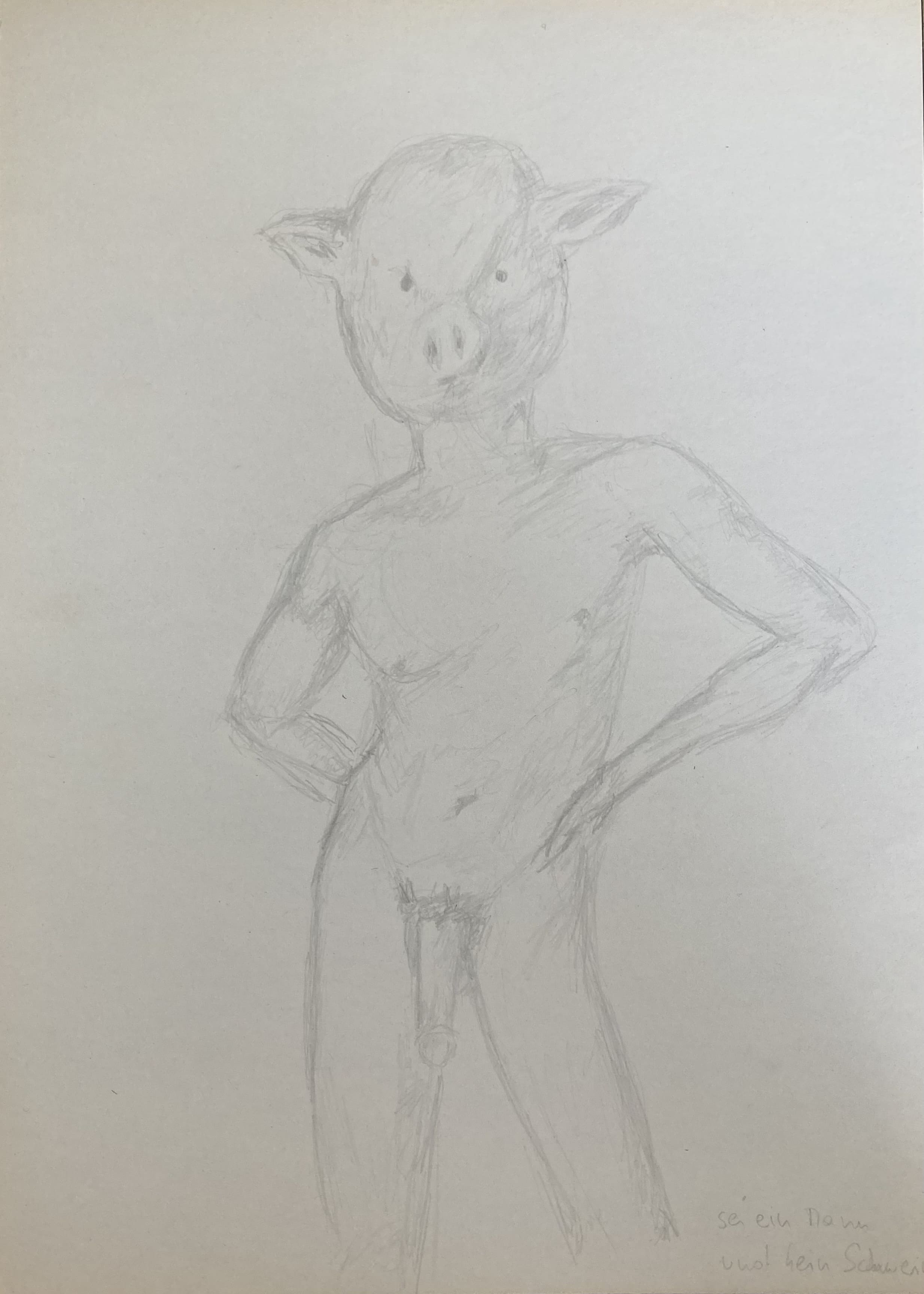 schwein