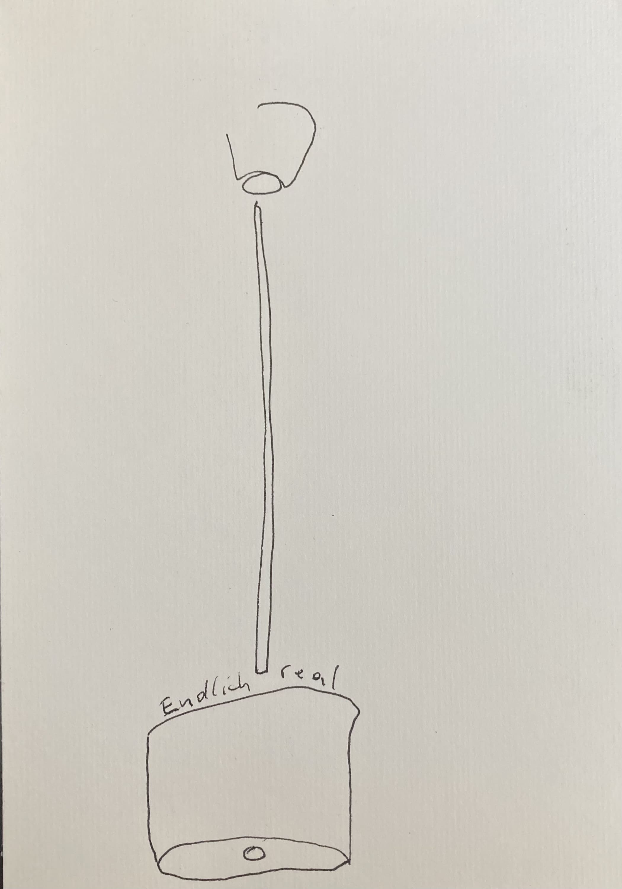 endlichreal